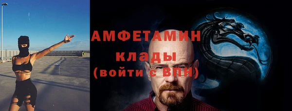 сатива Армянск