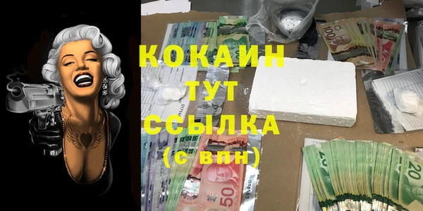 крисы Арсеньев